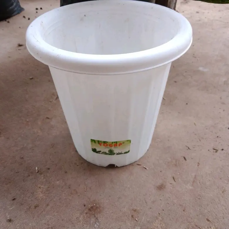 pot yogap(paket 7) 0