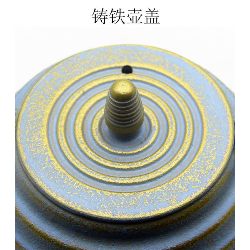 Product Introduction of Nordic Style Colored Boiled Water And Boiled Tea Brewed Teapot Cast Iron Kettle Decoration Living Room Home Handmade Creative Tea Set Decoration 36