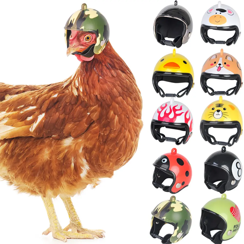 Funny Chicken Helmet Small Pet Hard Hat Bird Quail Pigeon Protective Hat Headgear Pet Bird Helmet Pet Supplies #436582