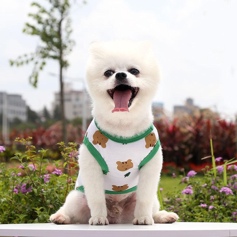 Product Introduction of Áo Vest Cho Chó, Thiết Kế Gấu Bông Teddy, Mèo, Pomeranian, Schnauzer, Chó Nhỏ, Quần Áo Thú Cưng, Thích Hợp Cho Mùa Hè, Hàng Mỏng 19
