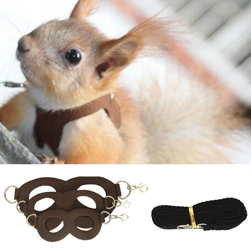 Product Introduction of Hamster Chinchilla Mouse Rat Squirrel Harness Anti-knot Anti-biting Strap Split Traction Rope Small Pet Training Leash 16