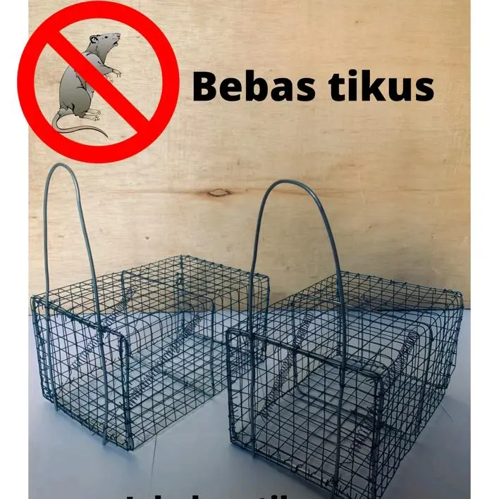 senteg jebakan tikus pembasmi hama Jebakan Tikus