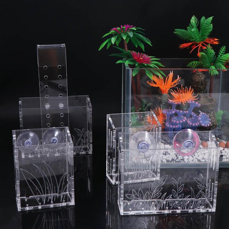 Product Introduction of Creative Wall Hanging Aquarium Plants Cup Transparent Floating Aquatic Planter Holder With suction cups Fish Tank Planting Cup Emersed Plants 10