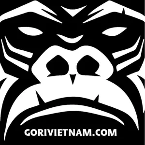 Gori Vietnam