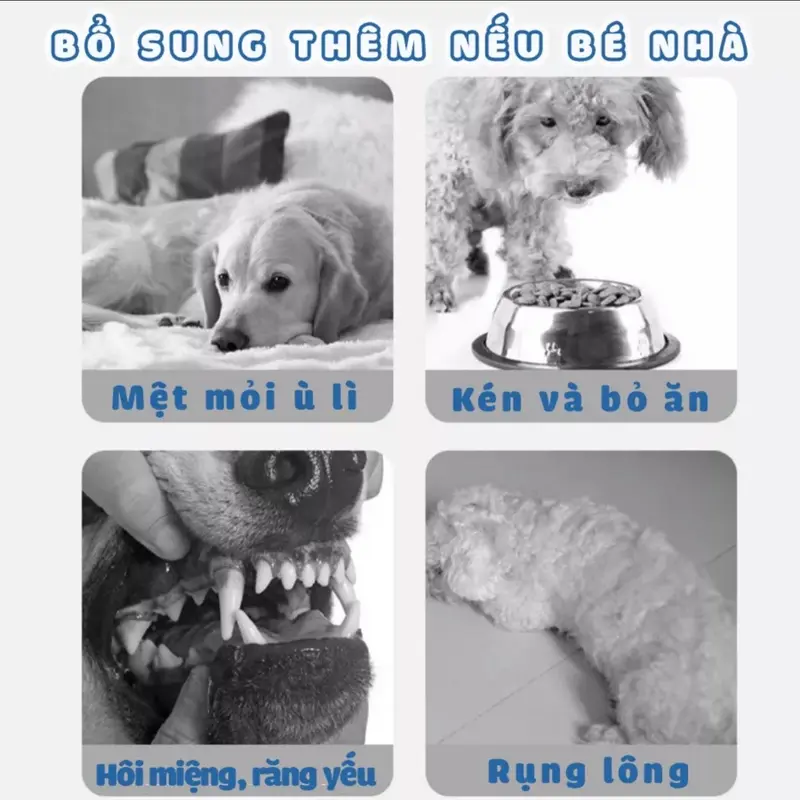 [Quận Tân Phú] DẦU CÁ HỒI CHO CHÓ MÈO BRIT CARE NHẬP ĐỨC ( chiết 50ml) 1