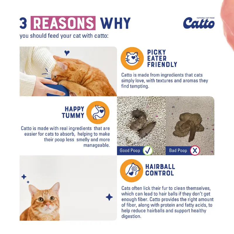 Catto Cat Food - Kitten Starter Pack Bundle 50gr x 10 pcs | Natural Wet Cat Food | Makanan Kucing Basah Daging Natural 3