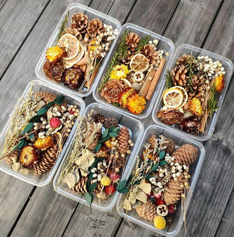 Set hộp hoa khô, hoa lá, hạt thông, trái cây khô trang trí, chụp ảnh sản phẩm