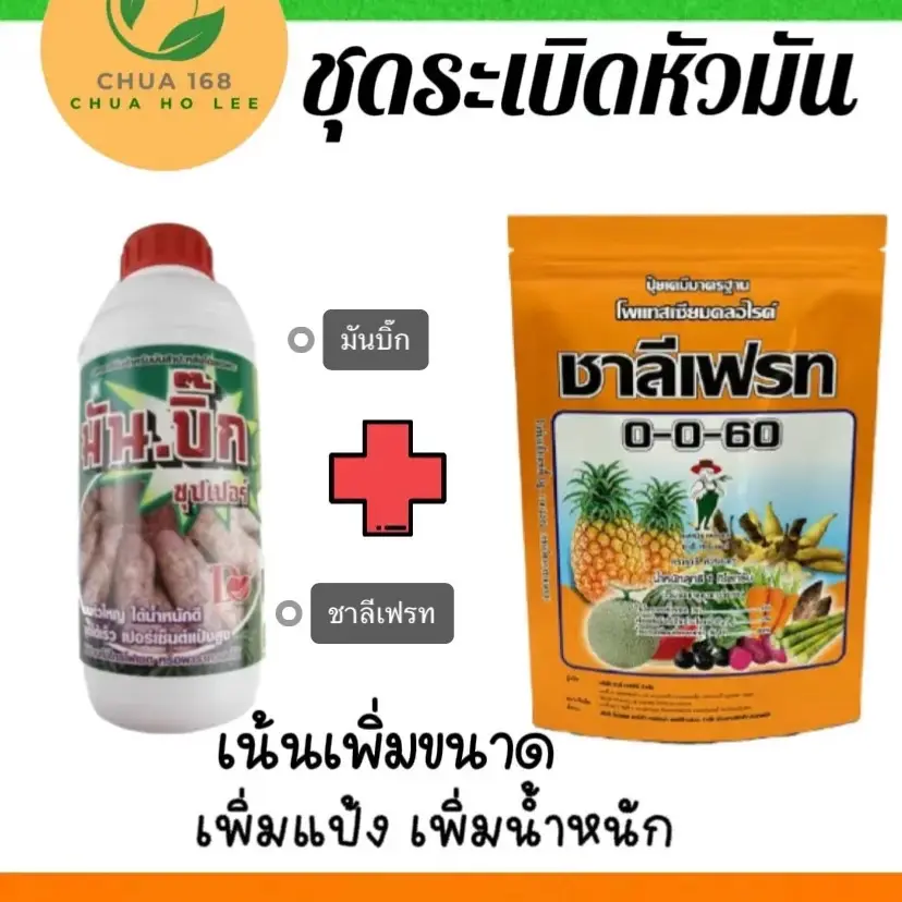 ชุดระเบิดหัวมัน”ชาลีเฟรท+มันบิ๊ก” เพิ่มแป้งเพิ่มน้ำหนัก