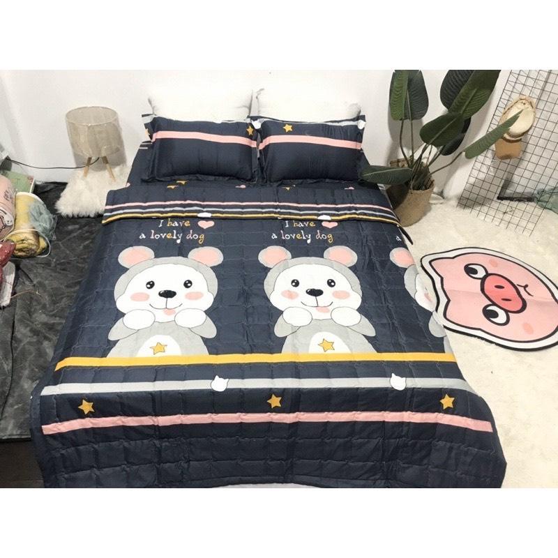 Chăn hè COTTON POLY trần bông 3 lớp nhiều mẫu lựa chọn