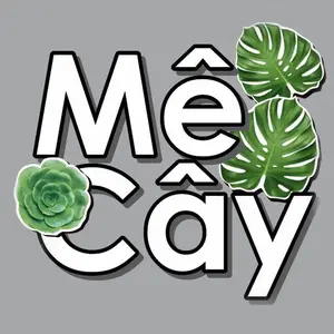 Chàng Trai Mê Cây