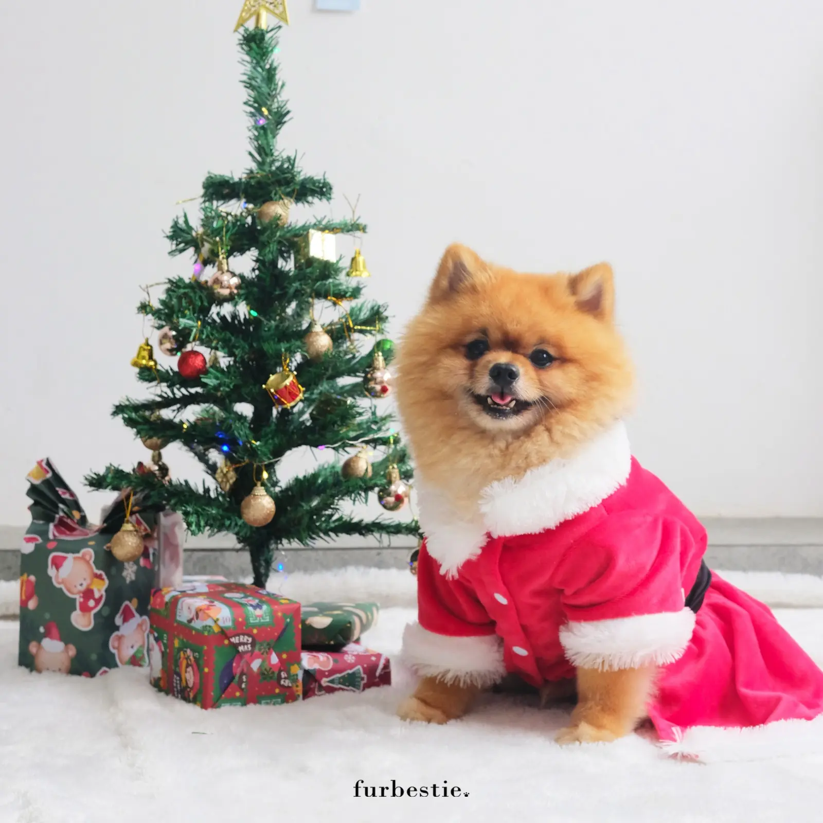 Furbestie by Pomapoo - Baju Kucing dan Baju Anjing Santa Costume & Dress