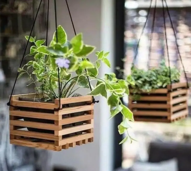 Pot Anggrek - Pot Kayu / Pot Gantung Uk 13cm Untuk Tanaman Hias 1