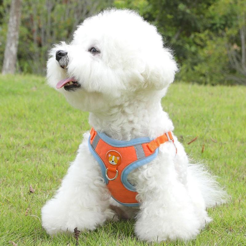 Product Introduction of Pet Dog Harness With Leash Reflective Vest Leash For Dog Cat Puppy Vest Harness 23