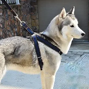 Tali Tuntun Anjing Kucing Harnes Hewan Denim Ryu Pet Harness and Leash Dog Cat