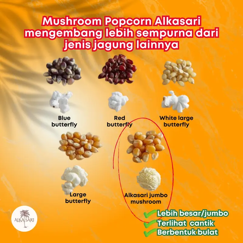 Jagung Popcorn Jumbo Mushroom Alka Sari Food Snacks 2