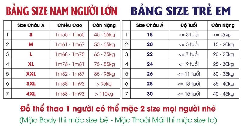 Product Introduction of Áo bóng đá Tây Ban Nha Euro 2024 phiên bản vàng 0