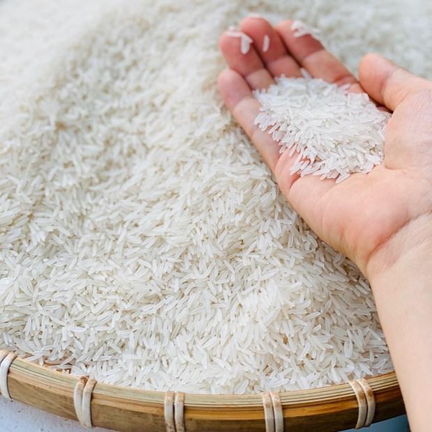 Gạo ST25 – Gạo Thuần Nguyên - Gạo Việt Chuẩn Vị 1