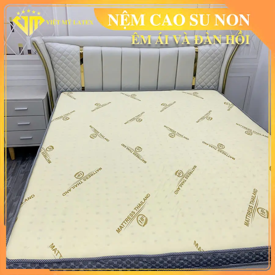 NỆM  1M6 X 2M X 5CM CAO SU NON VIỆT MỸ ( CÓ NHẬN LÀM KÍCH THƯỚC LẺ )