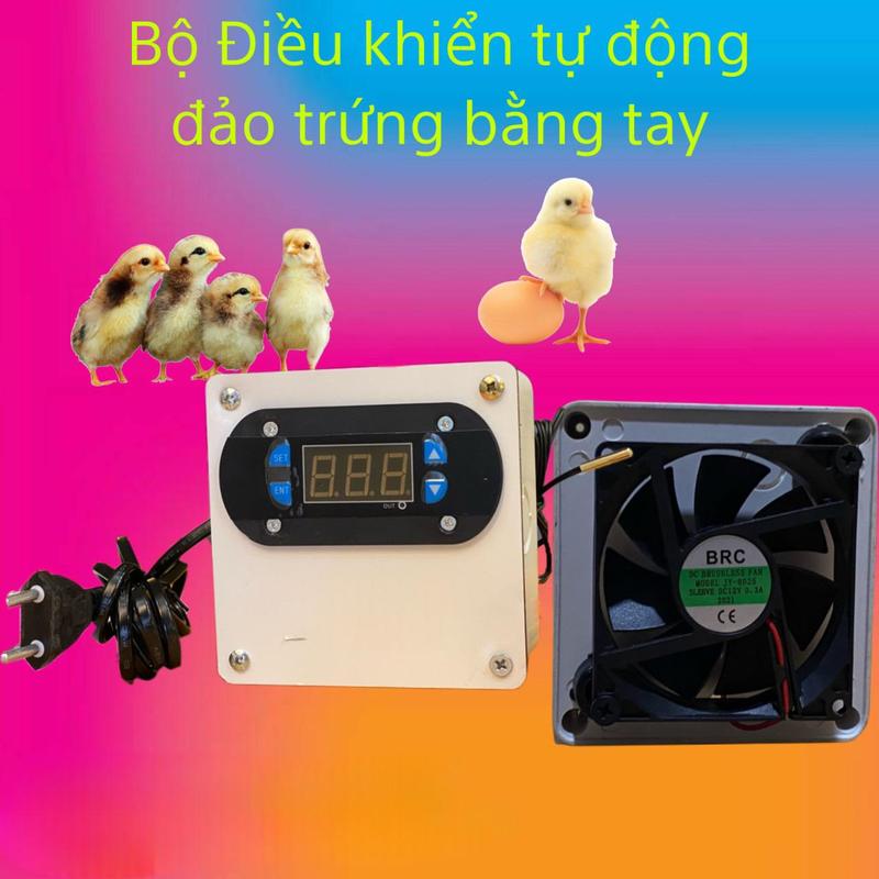 Product Introduction of Bộ Máy Ấp Trứng Mini Dùng Cho Gia Đình 7