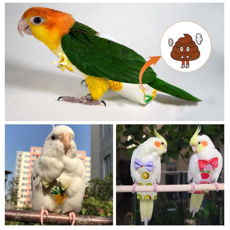 Product Introduction of Parrot Diaper Flight Suit Diaper Clothes Parrot Parakeet Pigeon Medium Large Pet Bird 47