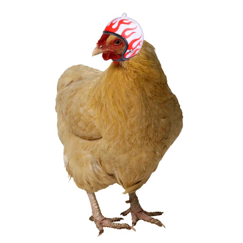 Product Introduction of Funny Chicken Helmet Small Bird Duck Quail Hard Hat Headgear Prevent The Chicken From Smash Protect for Hens Head Small Pet Clothing 13