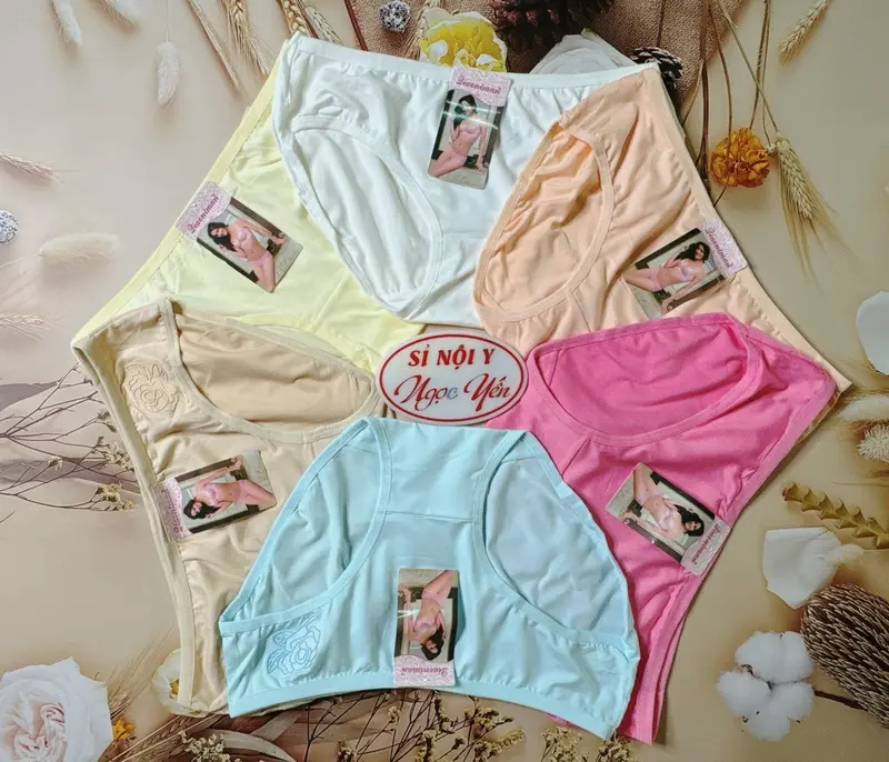 Combo 10 Quần Lót (3265) Cotton In Hoa Hồng Nổi Điệu Đà Nữ Tính (Size 45-55 Kg) Thun Women 2