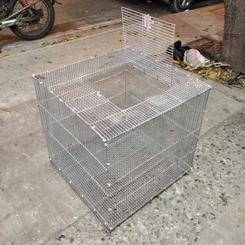 CHUỒNG 50 VUÔNG NAN 0.8 NUÔI RỒNG NAM MỸ, NUÔI ÚM GÀ CON