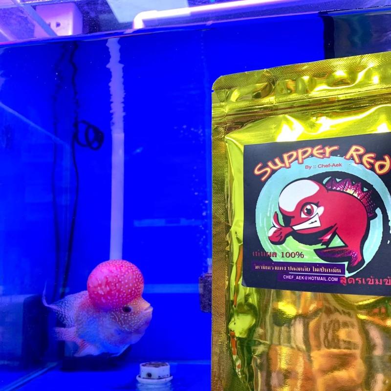 Thức Ăn Lên Màu Cá La Hán Super Red 100g Lên Đầu Màu Châu Toàn Diện cho Cá ( Hàng Thái Lan ) 3