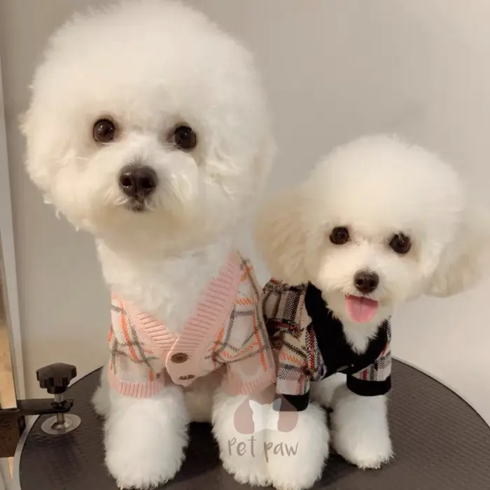 Petpaw Baju Anjing Kucing Cardigan Square Pattern Outer Premium Import 2