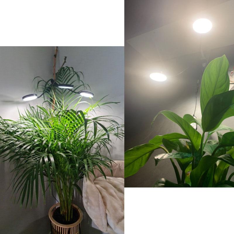 Product Introduction of DC 5V USB Timer LED Grow Light Plant Flower Growing Desktop Clip Phyto Lamps Light Indoor Greenhouse F2SG 187