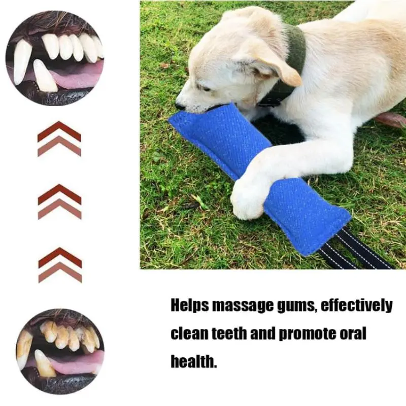 Durable Dog Tug Toy, 1 Piece Interactive Training Equipment for Puppy to Large Dogs, Pet Chew Toy, Dog & Cat Accessories 5