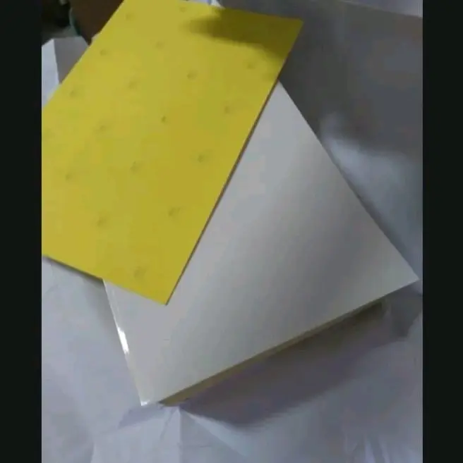 kertas stiker glossy doff F4 ( cast coat ) 5 pc