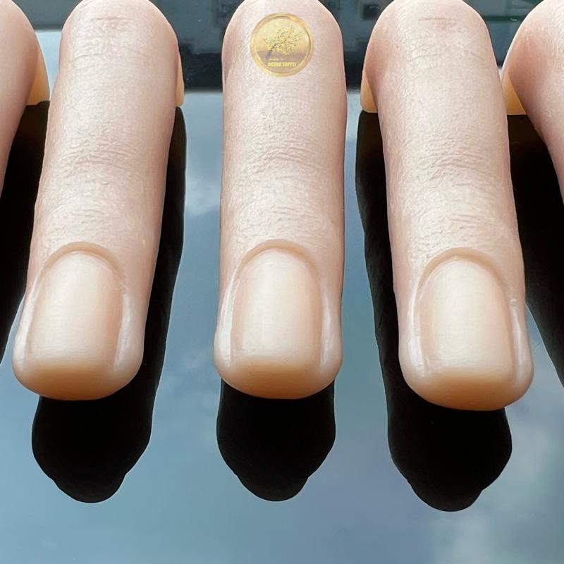 Bàn tay giả ngón tay giả học nail TITAN HAND - Tập đắp bột gel thoải mái mài ủ phá acetone