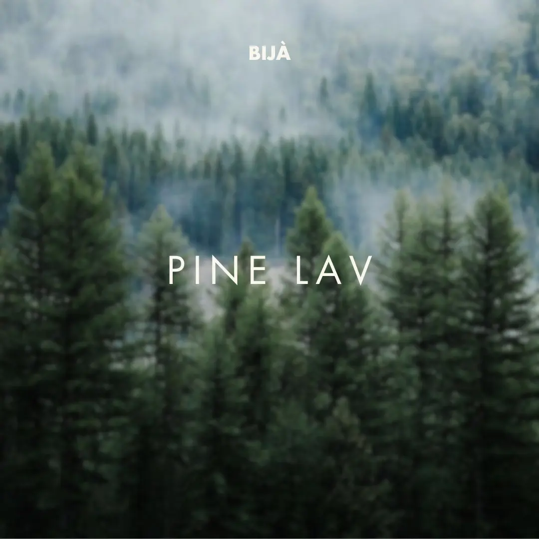 Bijà - Reed Diffuser/Pengharum Ruangan 50ml (Long-lasting Scented Gift untuk Kamar atau Ruang Kerja) | Essential Fragrance oil - Pine Lav