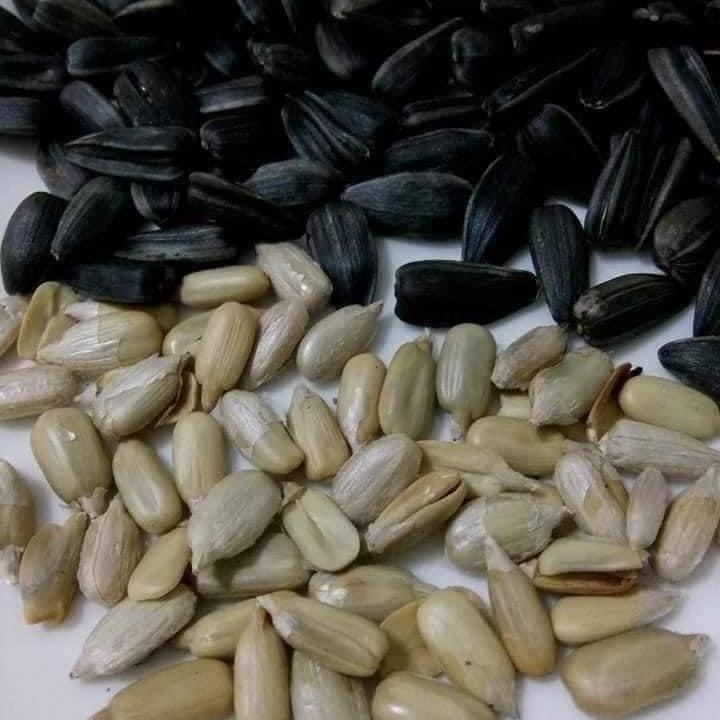 Hướng Dương Bà Già Nga com bo 2 gói 300gr Ăn Vặt 2