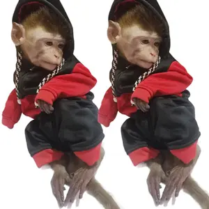 Hodie kombinasi untuk hewan monpai/beruk/Lutung