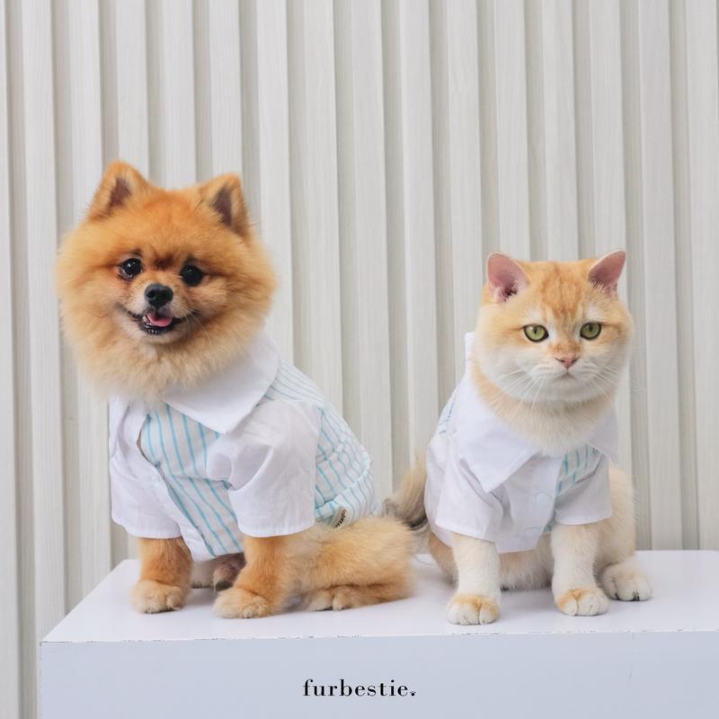 Furbestie by Pomapoo - Kostum Kucing dan Kostum Anjing Pawson 1