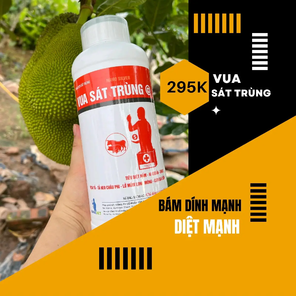 Vua Sát Trùng - Nano Bạc - Sát Khuẩn Thế Hệ Mới Làm Sạch Mầm Bệnh Cho Môi Trường Chăn Nuôi combo  nuôi gà chiến tụ huyết