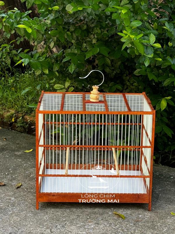 Khung lồng lực chào mào tự ráp 50*39*45 gỗ sến nan cáp quang ( đã ráp sẵn 6 mặt) KLG50