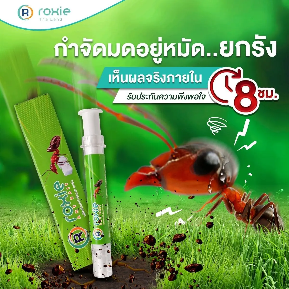 Roxie​ Ant​Bait​ เจลกำจัดมดยกรัง​ เหยื่อกำจัดมด​ มด