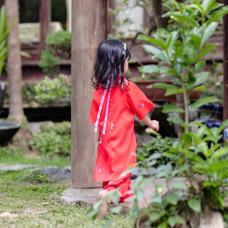 Áo dài tơ thêu 4 màu sắc nét + bờm ngọc (11-30kg) 1