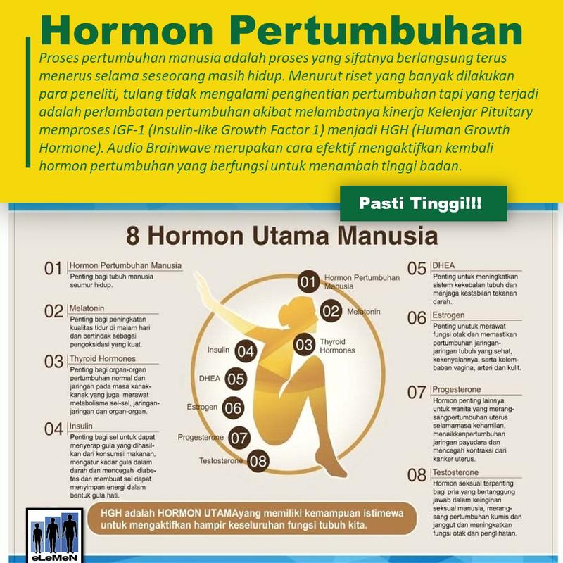 Alat Terapi Peninggi Badan eLeMeN Tambah Tinggi Badan Bantu Kamu Lulus Tes Polisi 5