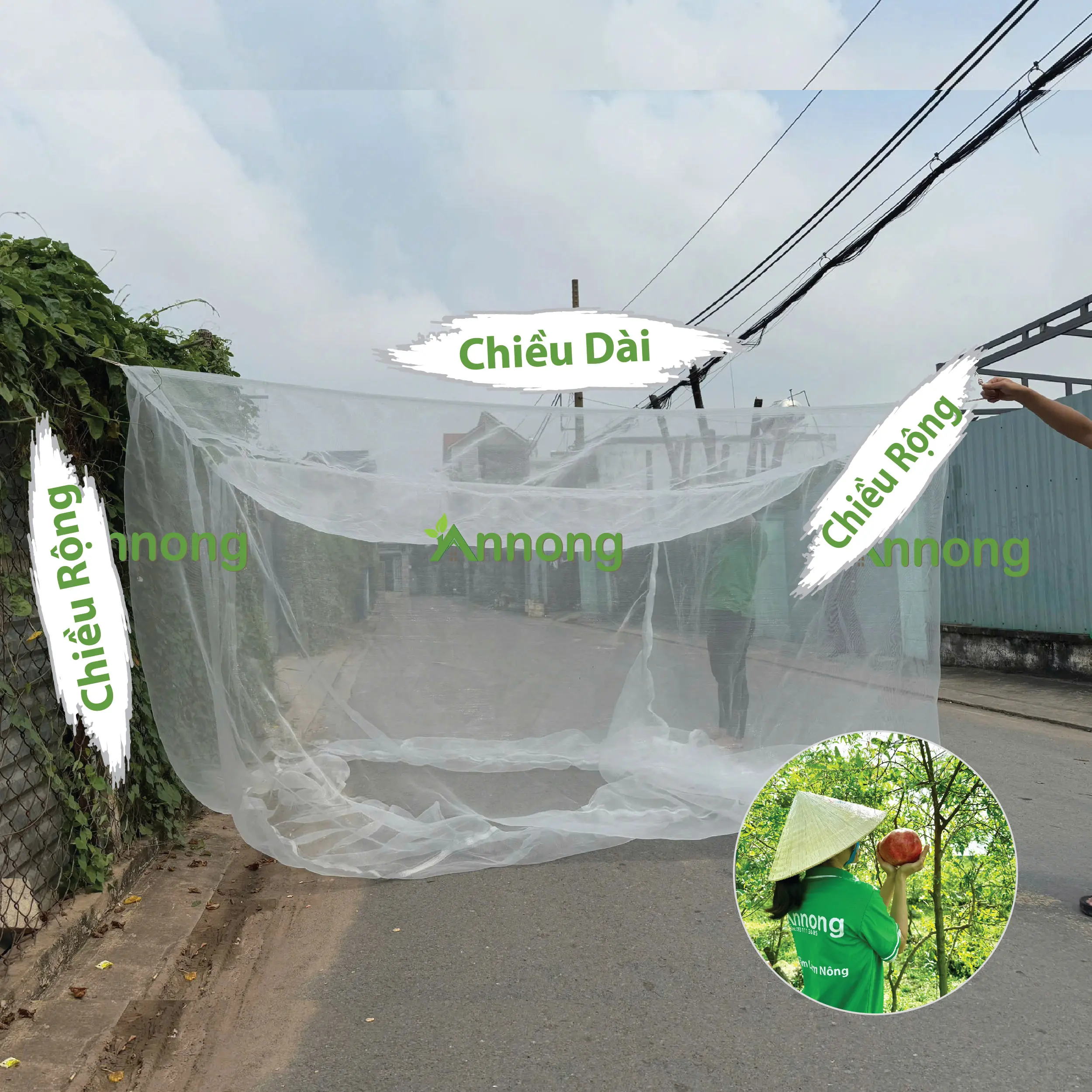 Cái mùng trùm cây ăn trái ngăn ruồi vàng và sâu bọ (nhiều kích thước lựa chọn), chắn chim ăn quả