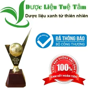 Dược Liệu Tuệ Tâm