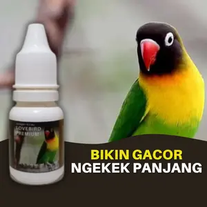 Doping Vitamin Burung Lovebird Premium Tetes Dosis Tinggi Biar Gacor Konslet Ngekek Panjang