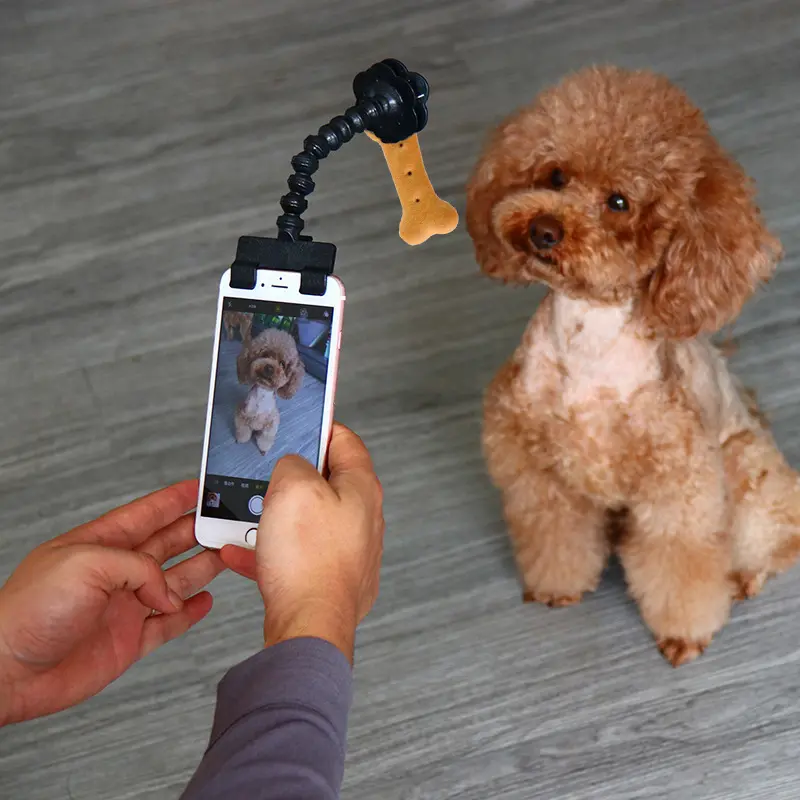 Pet Selfie Stick: Cat and Dog Snap Stick, Toy with Camera, Suitable for Pets to Take Photos, with Phone Holder, Convenient for Pets to Take Selfies.
