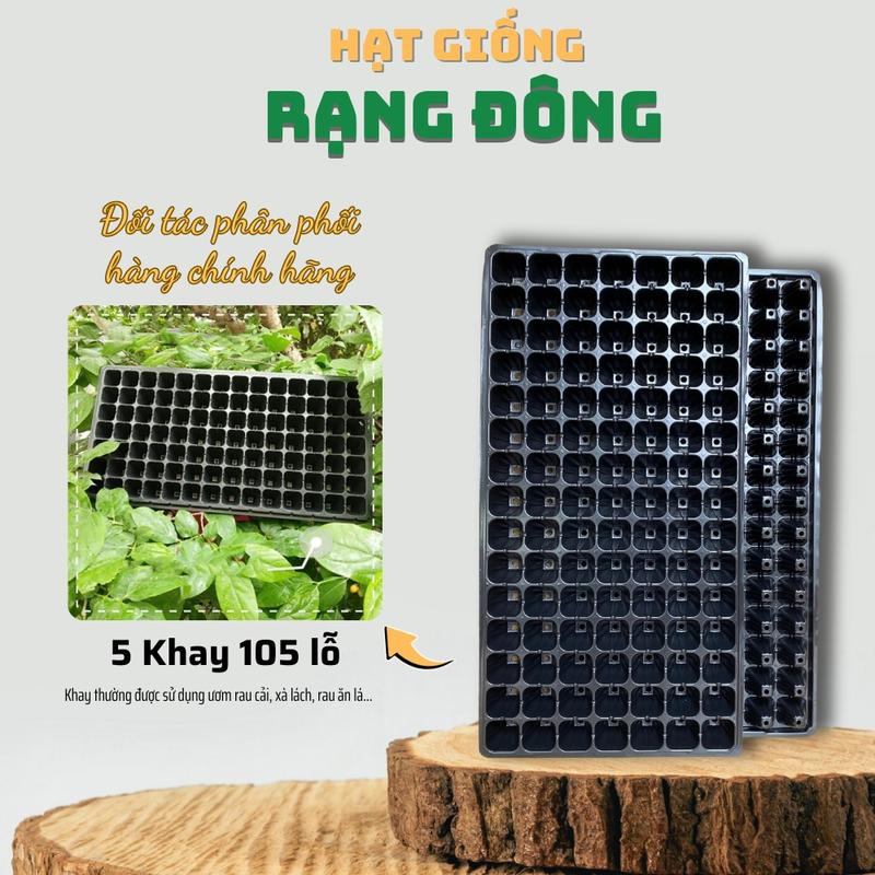 Khay Ươm Hạt Giống 105 Lỗ - Nhựa dày vừa chịu nhiệt phù hợp ươm: rau cải xà lách rau ăn lá - Hạt giống Rạng Đông