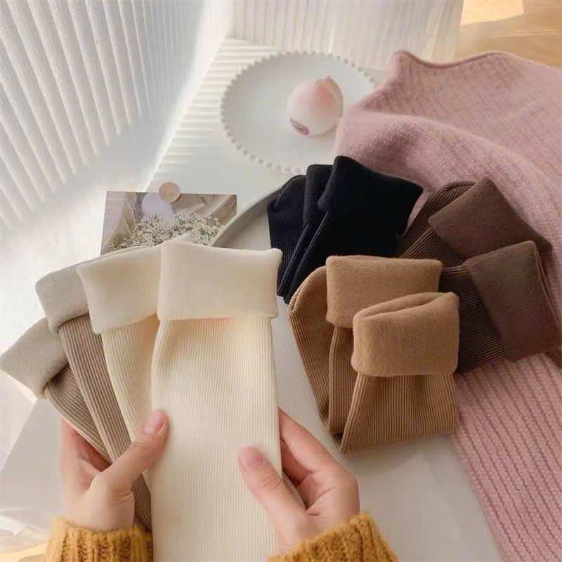 Set 5 Đôi Tất Vớ Cotton Lót Lông Nỉ Giữ Nhiệt Cao Cổ Siêu Ấm Màu Pastel Cho Nữ Nhung