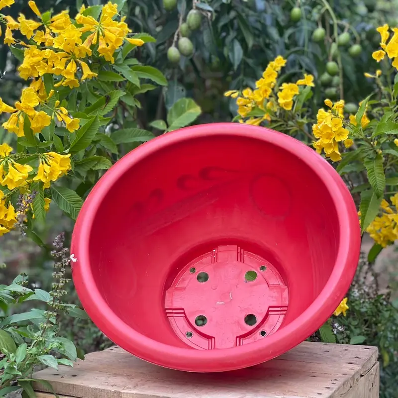 [ 5 cái ] Chậu nhựa trồng cây T38 dày dặn ( miệng 36 x cao 20cm ) chậu  hoa 1