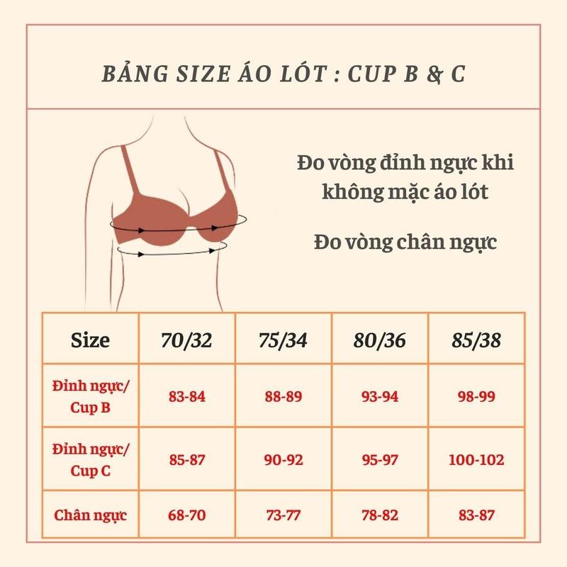 Áo lót nữ 609-62389 nhãn hiệu Pierre Cardin, vải ren, có gọng, cúp xéo 3/4, mouse mỏng  Women Bra 6